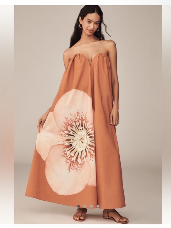 Significant Other Dresses & Skirts - Significant Other Shiloh Maxi Dress